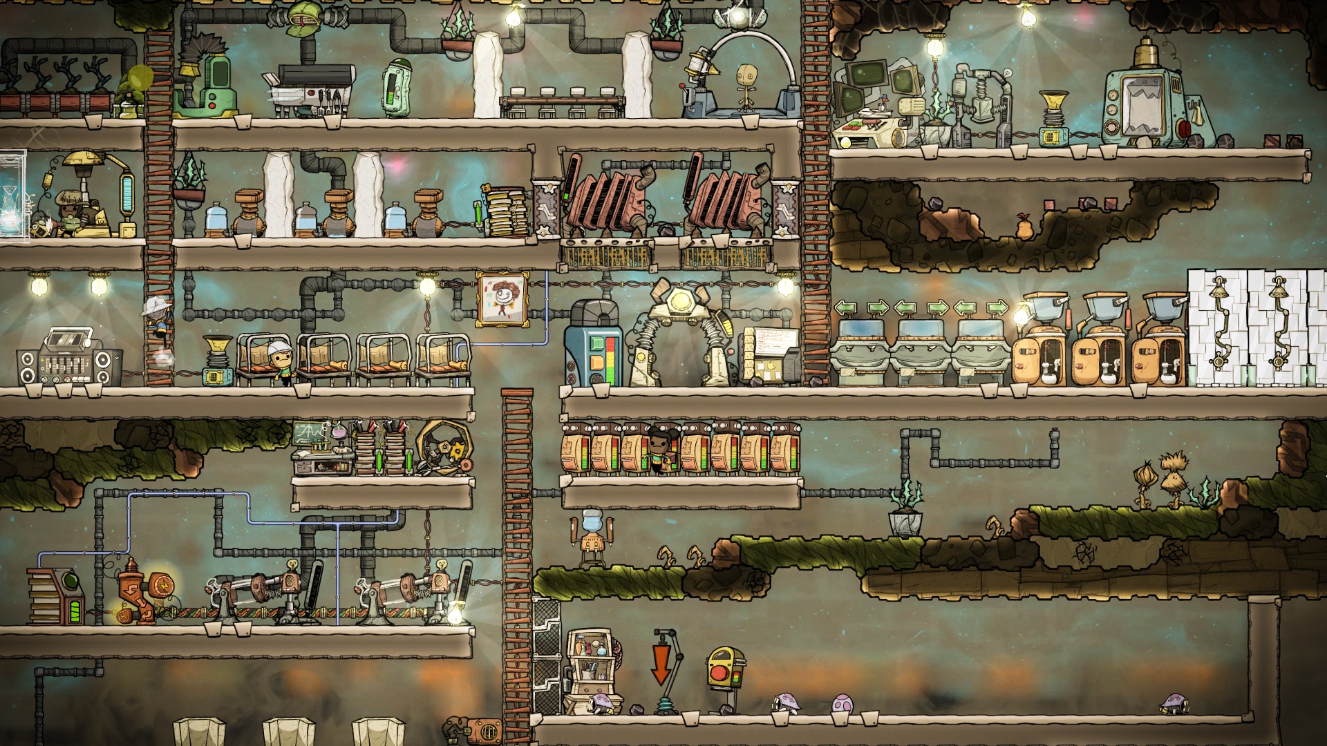 Oxygen Not Included base with bedrooms, crops, toilets and work areas arranged for the first 50 cycles